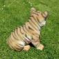 Preview: Lion sitting