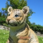 Preview: Lion sitting