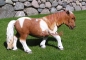 Preview: Shetlandpony-Figur