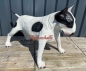 Preview: Englischer Bullterrier Statue groß