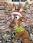 Preview: Funny Elch Weihnachtsdekoration