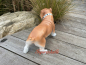 Preview: Bulldogge