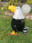 Preview: beak