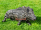 Preview: Wildschwein Statue