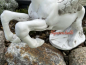 Preview: Pegasos Skulptur Gartenfigur Dekorations Idee