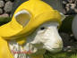 Preview: Sailor sheep figure