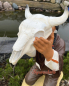 Preview: Longhorn Schädel Figur