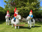 Preview: Lustige Gartenzwerg Herde als Figuren für den Garten oder Campingplatz