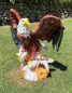 Preview: Großer Adler