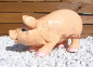 Preview: Aufstellfigur Schwein Garten
