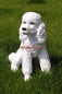 Preview: King Poodle statue