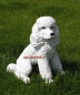 Preview: White poodle figure