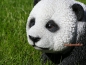 Preview: Decorative panda bear