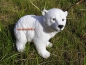 Preview: Alaska polar bear