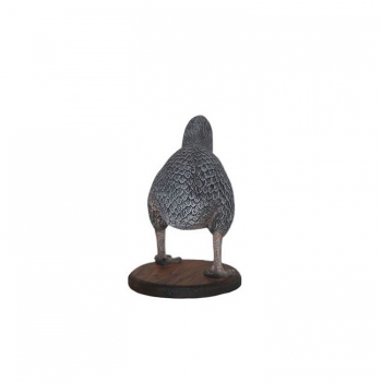 Kiwi bird decoration
