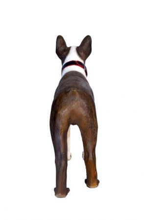 Preview: Boston Terrier Züchter