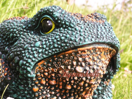 Garden display amphibians