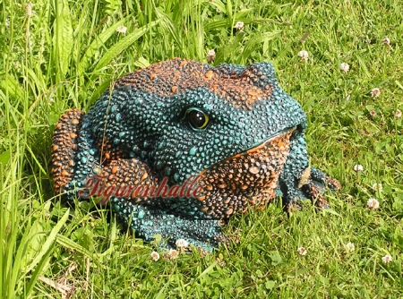Amphibians figures