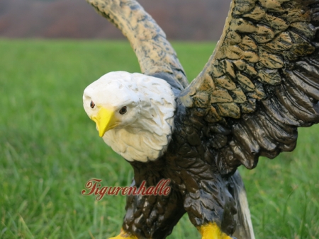Bird of prey statue