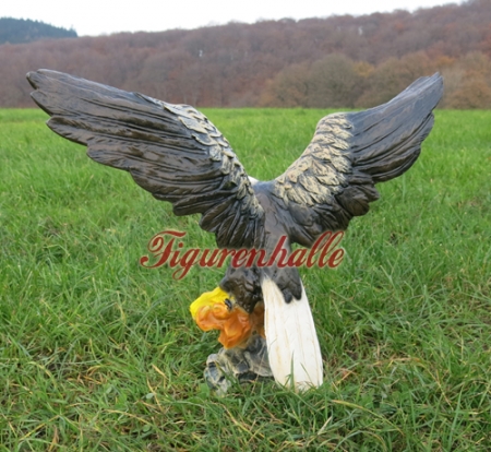 Eagle claw
