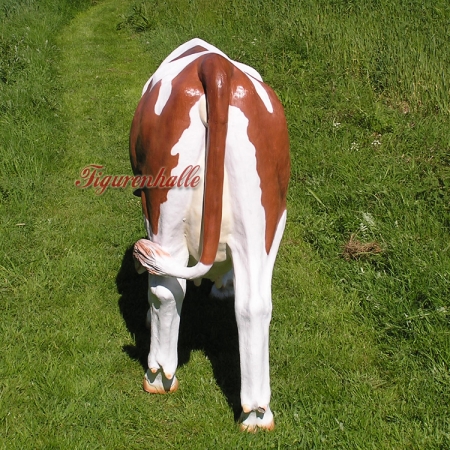 Brown white cow GRP