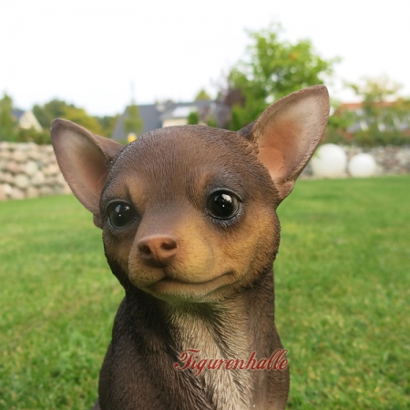 Chihuahua Skulptur