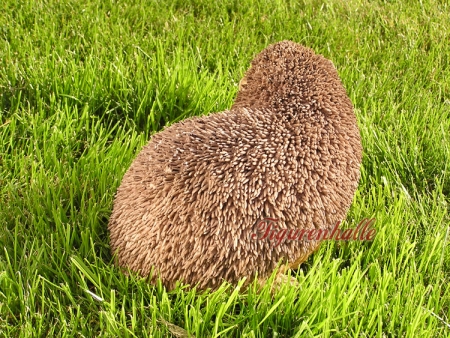 Garten Igel Figur