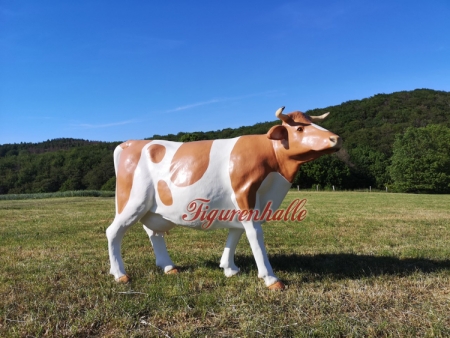 Preview: Lebensgroße Kuh braun weiße Flecken Kopf hoch