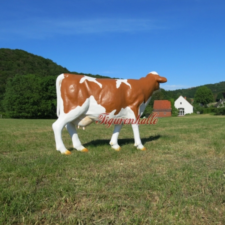 Preview: Kuh ohne Hörner