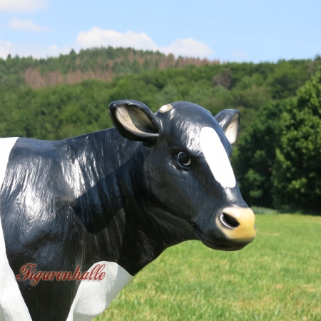 schwarz weiß Kalb Bauerntiere lebensgroß