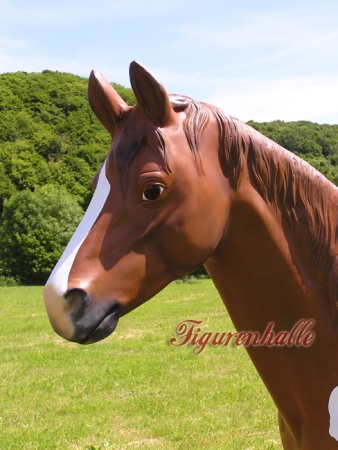 Western Indian horse as decoration