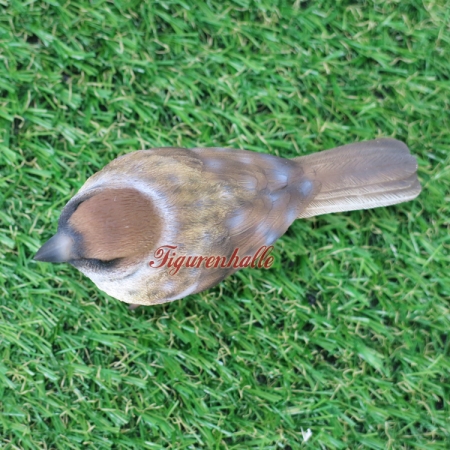 Spatz Singvogel Statue