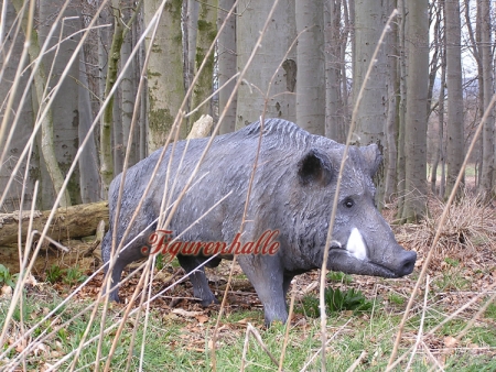 Preview: Wildschwein lebensgroß Figur Preview: Wildsau Figur Natur