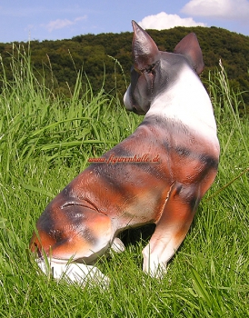 Bull Terrier