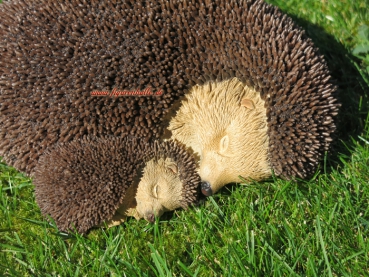 Igel Gartenfigur