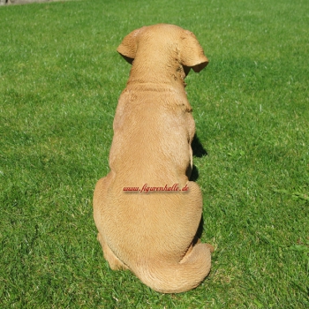 Labrador retriever decoration