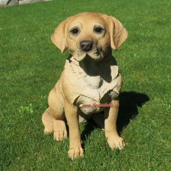 Labrador Retriever beige Figur