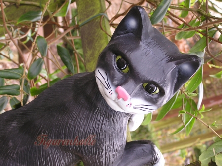 Katze zum an den Baum Aufhängen