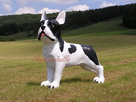 Französische Bulldogge Statue