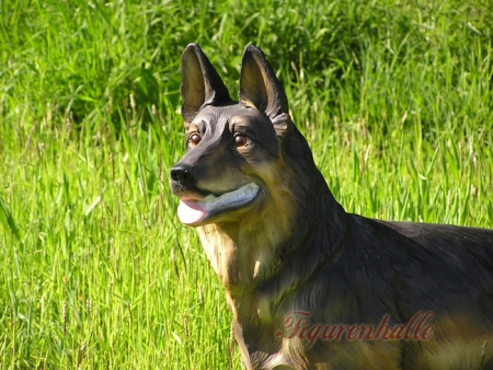 Preview: Schäferhund lebensgroß stehend Preview: Deutscher Schäferhund Statue Garten