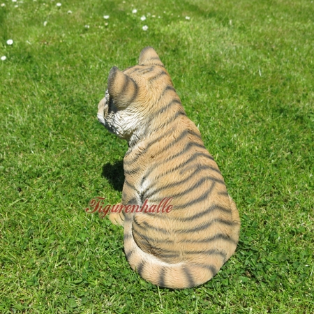 Lion sitting