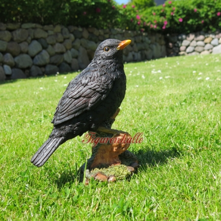 Amsel Figur