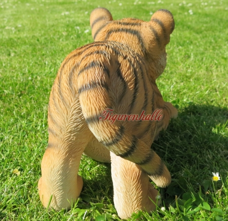 Lion lying