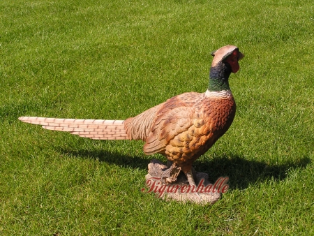 Fasan Vogel Figur