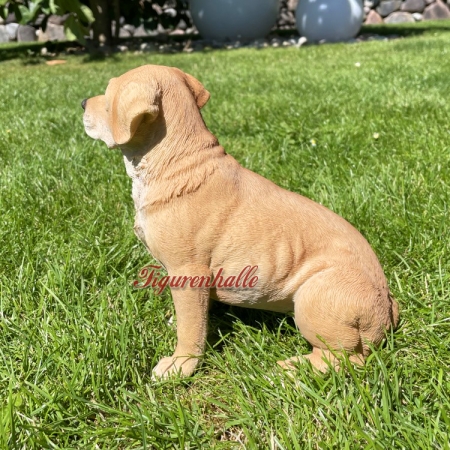 Labrador display stand decoration