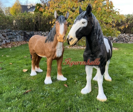 Pferd auf wiese