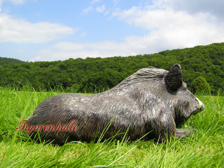 Wildschwein groß