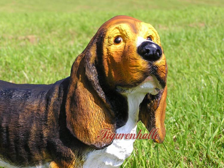 Preview: Basset Hound