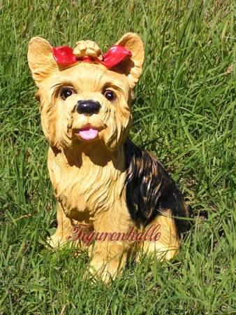 Yorkshire Terrier Fanartikel