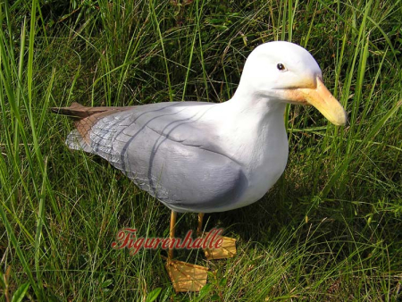 Möwe lebensecht Maritime Dekoration